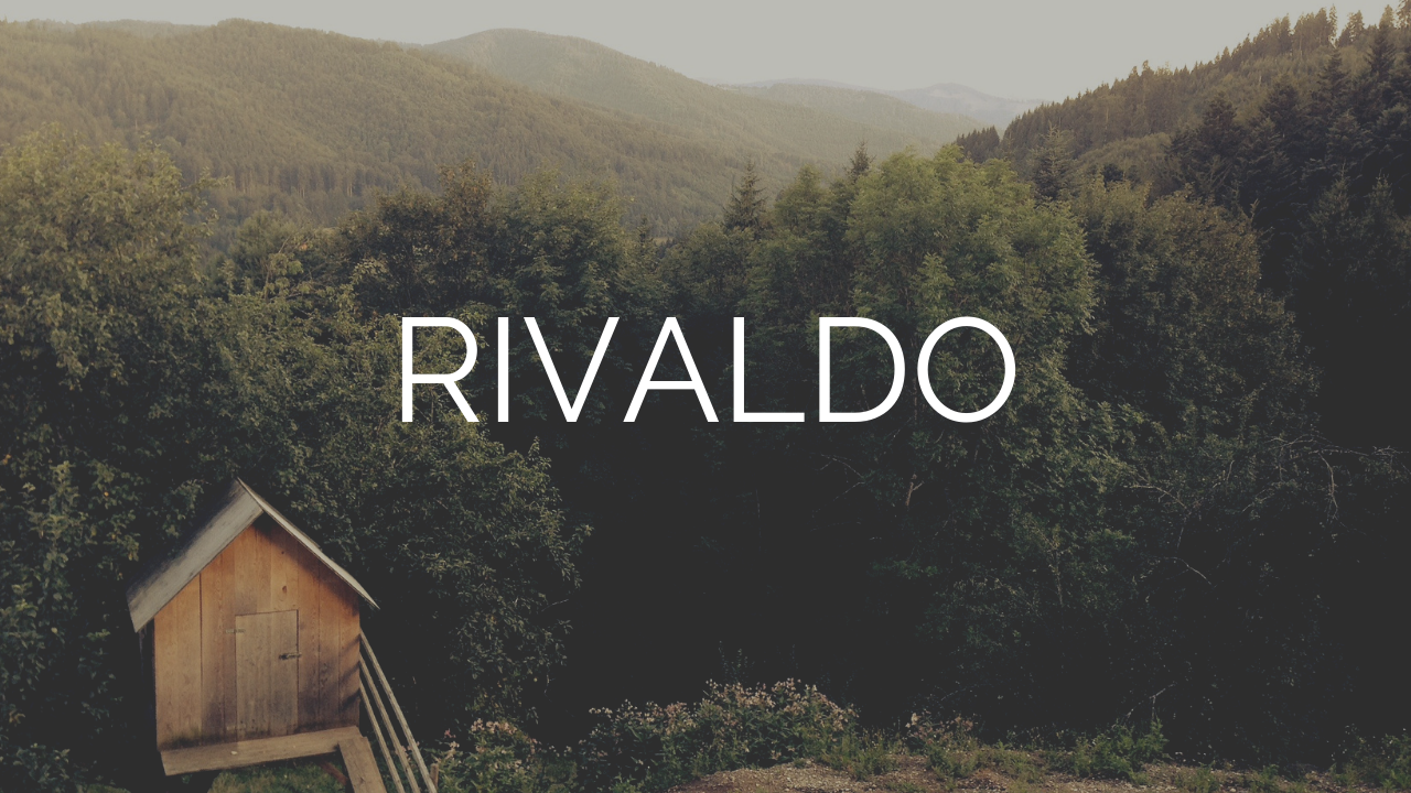 Read more about the article Da Rivaldo brød med den maskuline etik