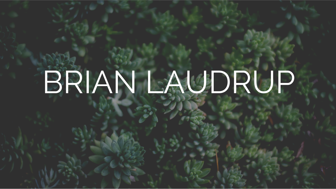Read more about the article Brian Laudrup