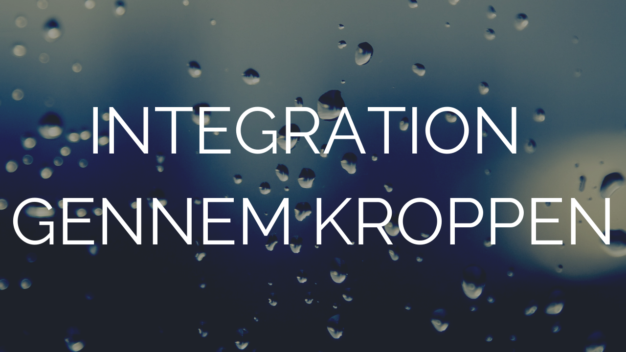 Read more about the article Integration gennem kroppen